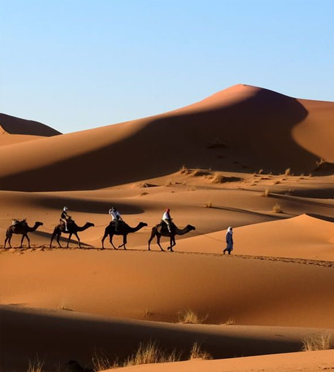 Day Trip to Ouarzazate & Ait Benhaddou